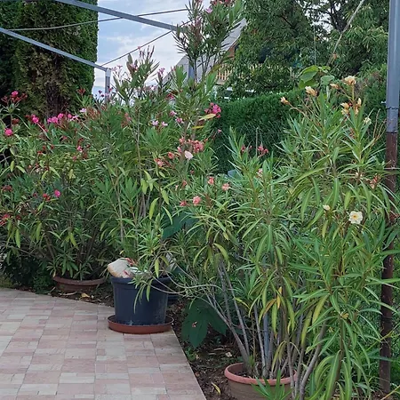 Appartamento Lonci *